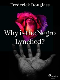 Why is the Negro Lynched?