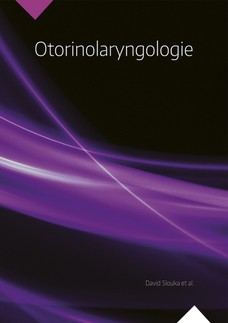 Otorinolaryngologie