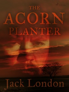 The Acorn Planter