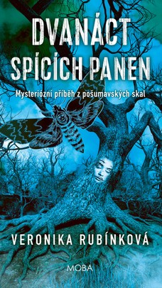 Dvanáct spících panen 