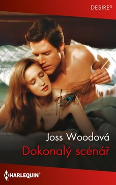 Dokonalý scénář