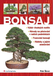 Bonsaj