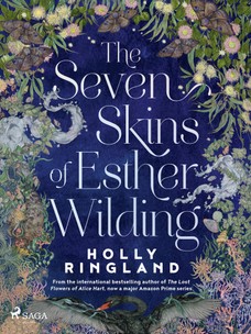 The Seven Skins of Esther Wilding: A sweeping and beautiful novel about the far reaches of sisterly