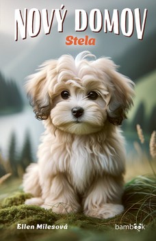 Nový domov – Stela