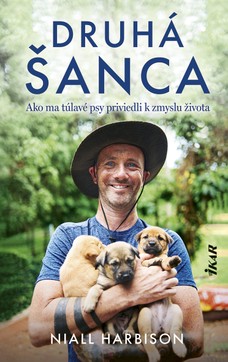 Nádej: Ako ma túlavé psy priviedli k zmyslu života