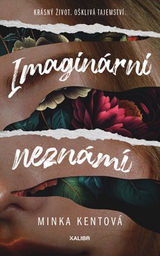 Imaginární neznámí