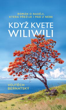 Když kvete wiliwili