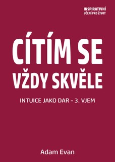 Cítím se vždy skvěle, Intuice jako dar 3. Vjem