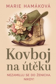 Kovboj na útěku