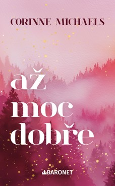 Až moc dobře