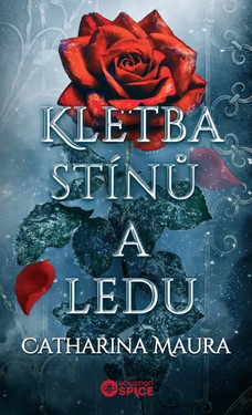 Kletba stínů a ledu