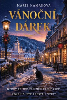 Vánoční dárek