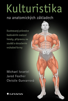 Kulturistika na anatomických základech