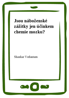 Jsou náboženské zážitky jen účinkem chemie mozku?