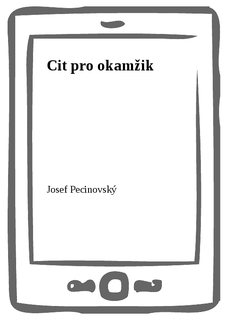 Cit pro okamžik