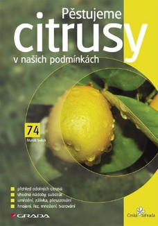 Pěstujeme citrusy v našich podmínkách