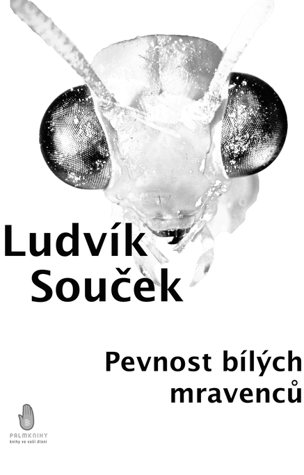 Pevnost bílých mravenců