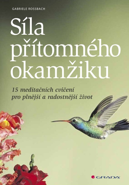 Síla přítomného okamžiku