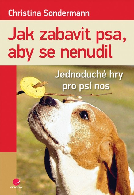 Jak zabavit psa, aby se nenudil