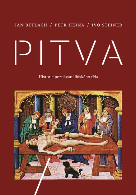 Pitva