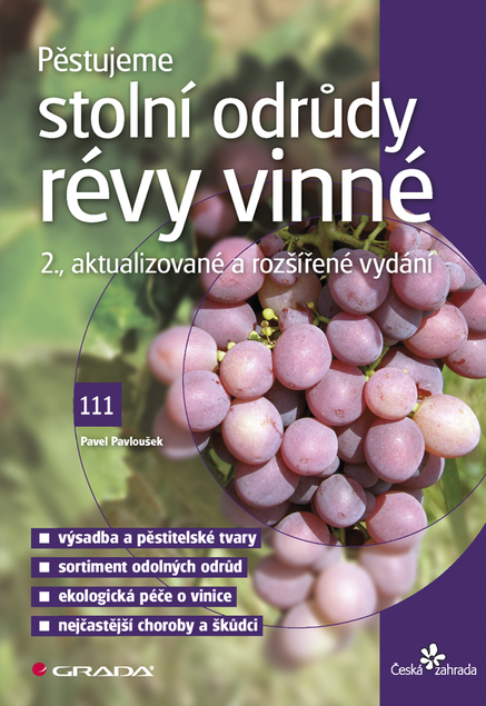 Pěstujeme stolní odrůdy révy vinné