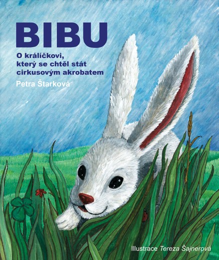 Bibu