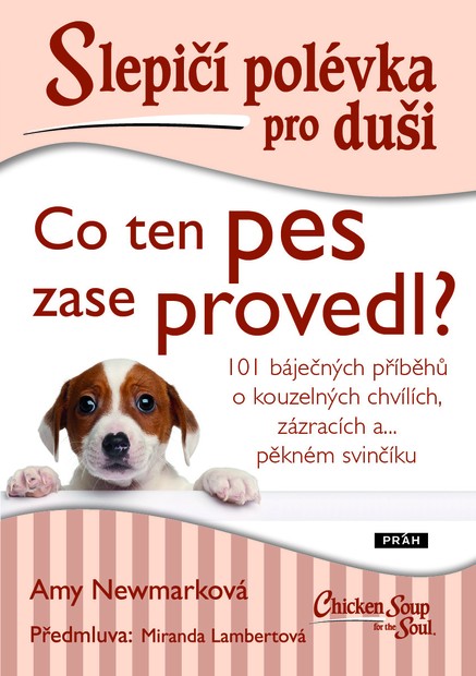 Slepičí polévka pro duši: Co ten pes zase provedl?