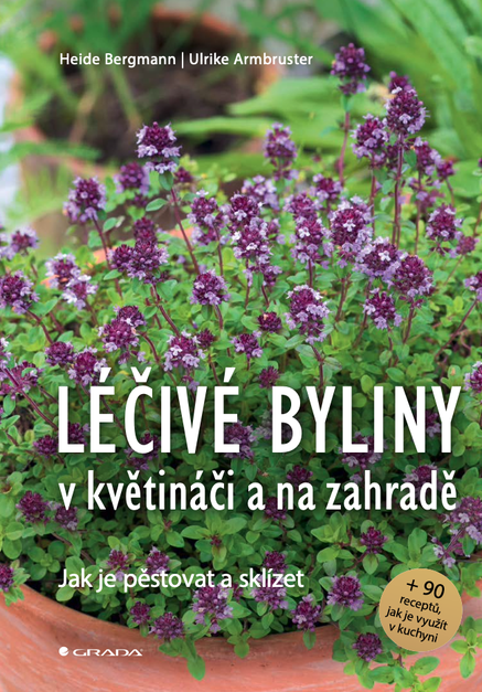 Léčivé byliny v květináči a na zahradě