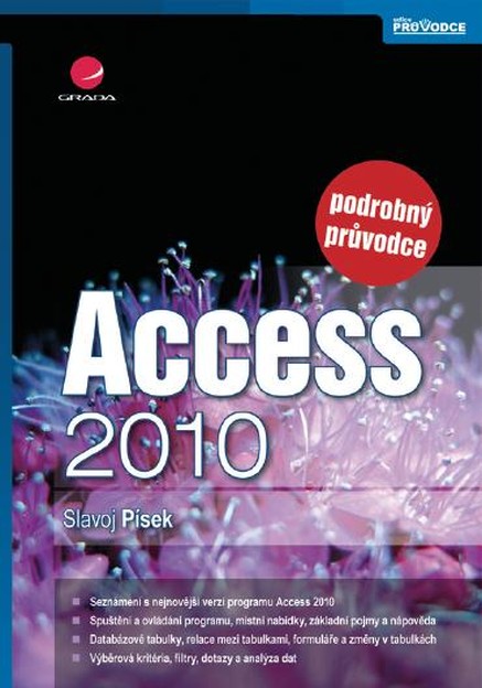 Access 2010