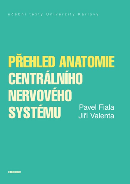 Přehled anatomie centrálního nervového systému