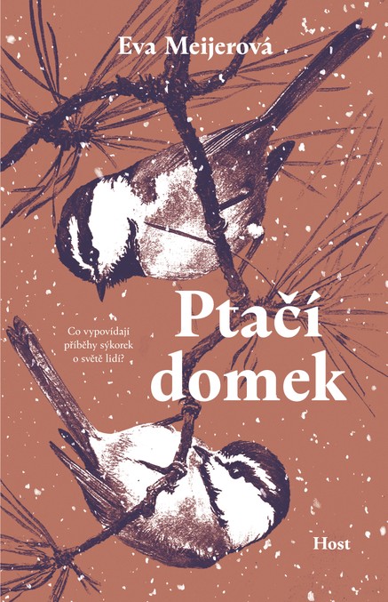 Ptačí domek