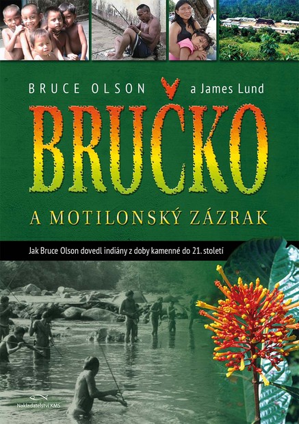 Bručko a motilonský zázrak