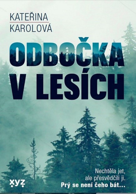 Odbočka v lesích