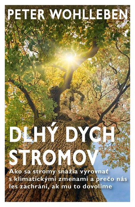 Dlhý dych stromov