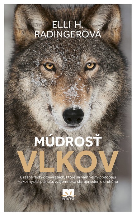 Múdrosť vlkov