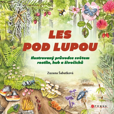 Les pod lupou