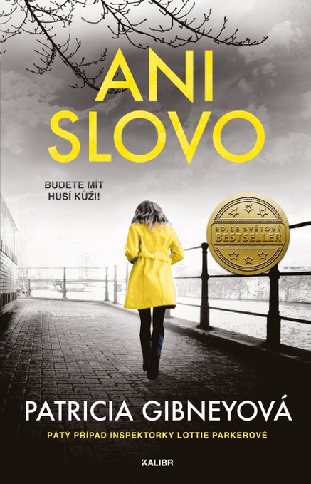 Ani slovo