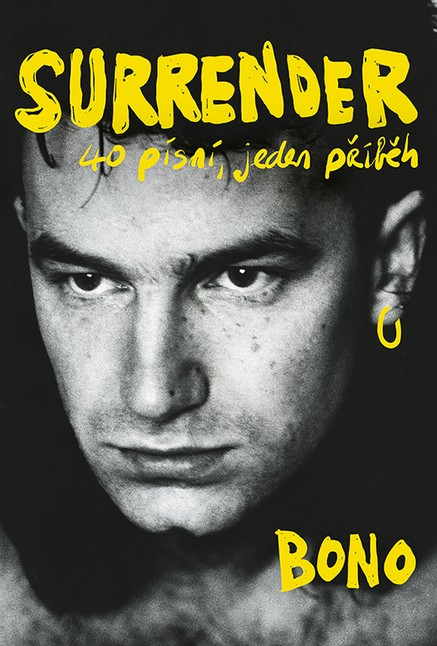 Surrender: 40 písní, jeden příběh