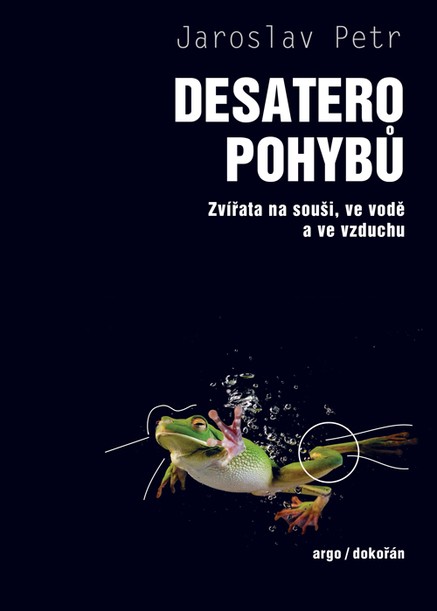 Desatero pohybů