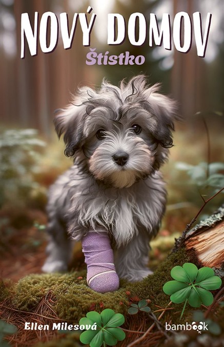 Nový domov – Štístko