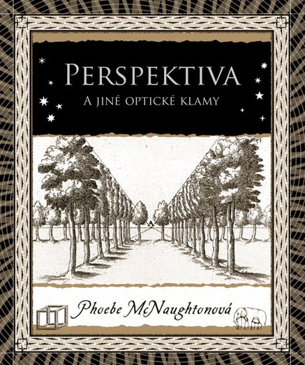 Perspektiva a jiné optické klamy