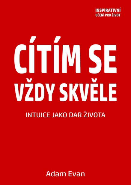 Cítím se vždy skvěle, Intuice jako dar života