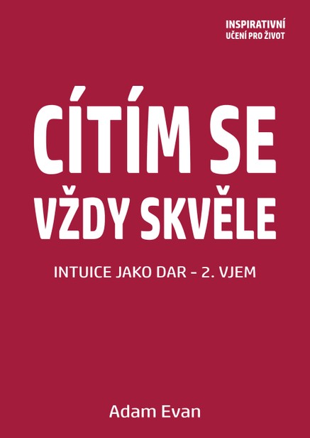 Cítím se vždy skvěle, Intuice jako dar 2. Vjem