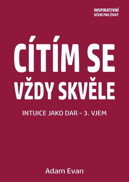 Cítím se vždy skvěle, Intuice jako dar 3. Vjem