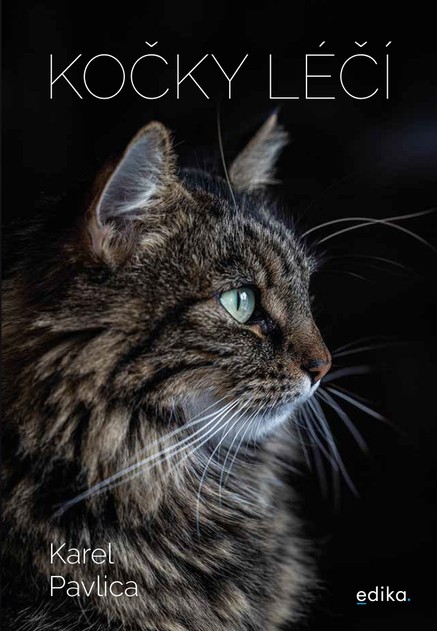 Kočky léčí