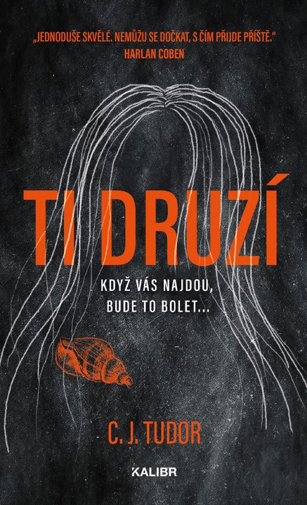 Ti druzí