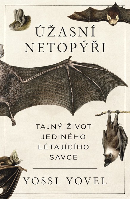 Úžasní netopýři