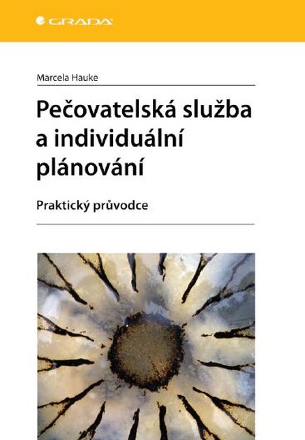 Pečovatelská služba a individuální plánování