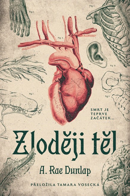 Zloději těl