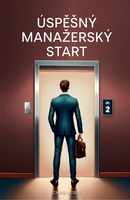 Úspěšný manažerský start